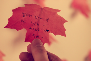 韓國 Appree Sticky Leaf memo 紙（楓葉款）