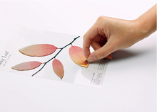 韓國 Appree Sticky Leaf memo 紙（樺樹葉款）