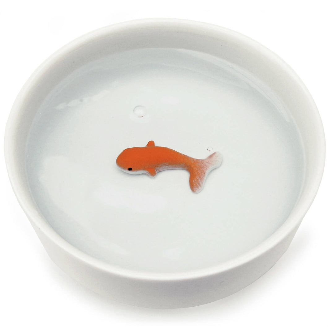 *預購* 英國設計 SUCK UK 陶瓷 金魚 寵物碗